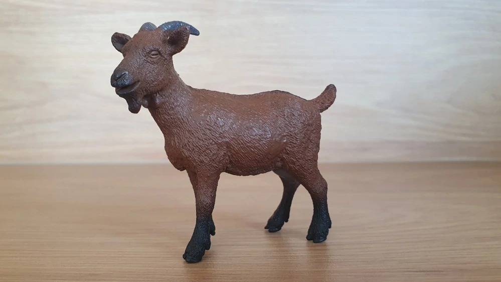 koza 13828, model 2016