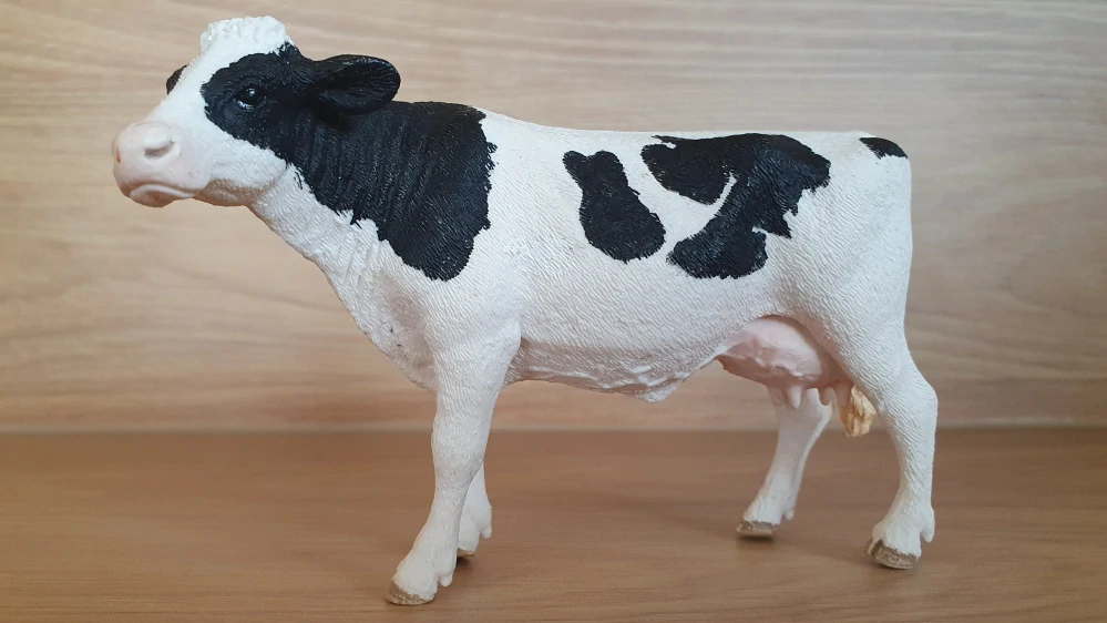 kráva holštýnská 13797, model 2015