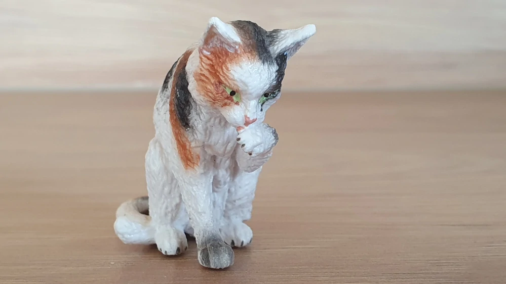 kočka flekatá, lízající packu 13675, model 2010