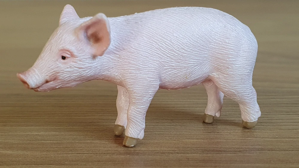 sele 13783, model 2014