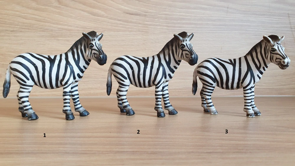 zebra 14148, model 1998