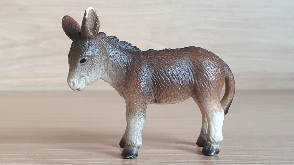 osel mládě 13268, model 2002