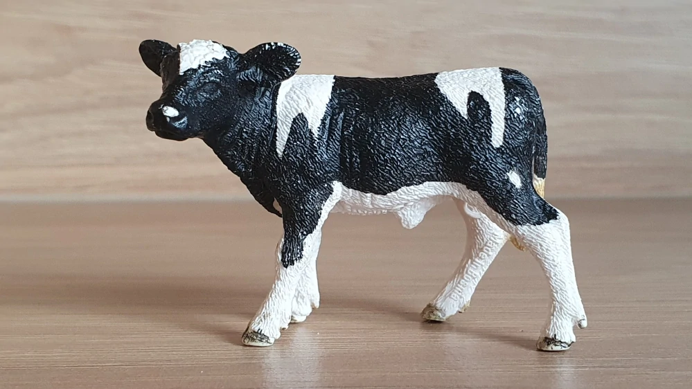 tele holštýnské černobílé 13798, model 2015