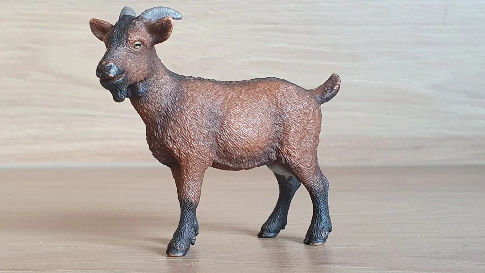 koza 13828, model 2016
