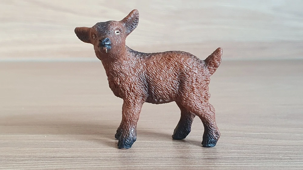 kůzle hnědé 13829, model 2016