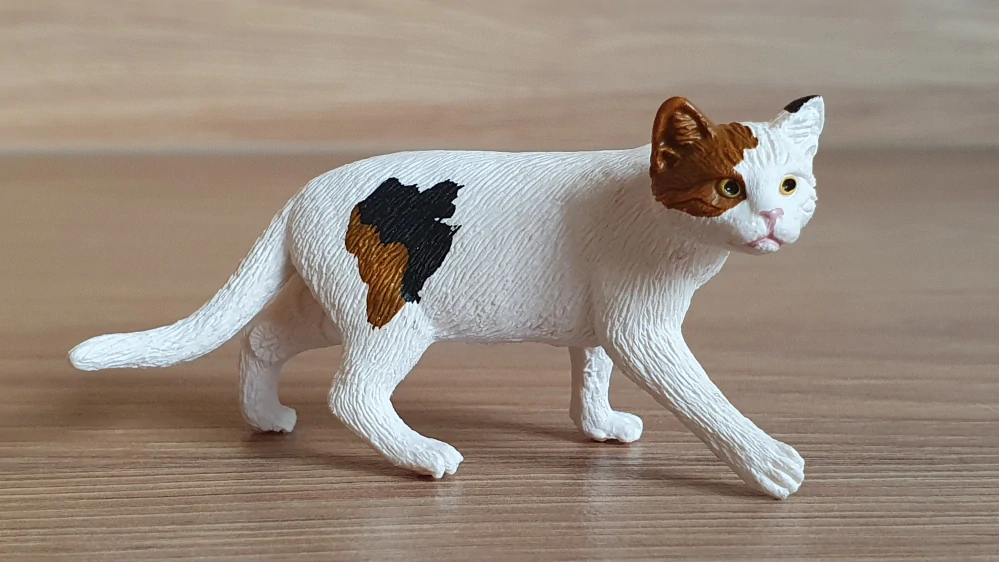 kočka americká 13894, model 2019