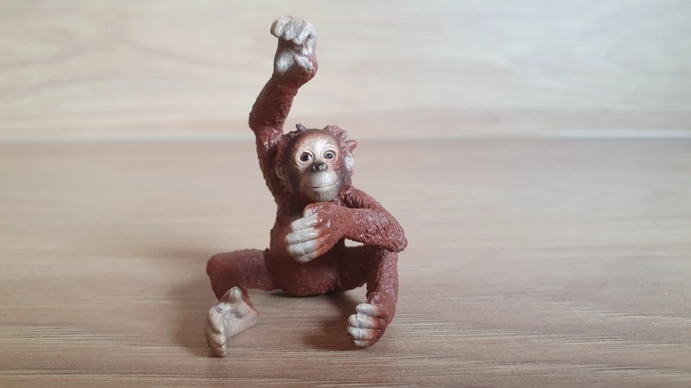 orangutan mládě 14776, model 2016