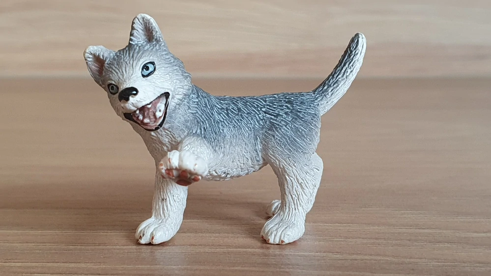 husky štěně 16373, model 2007
