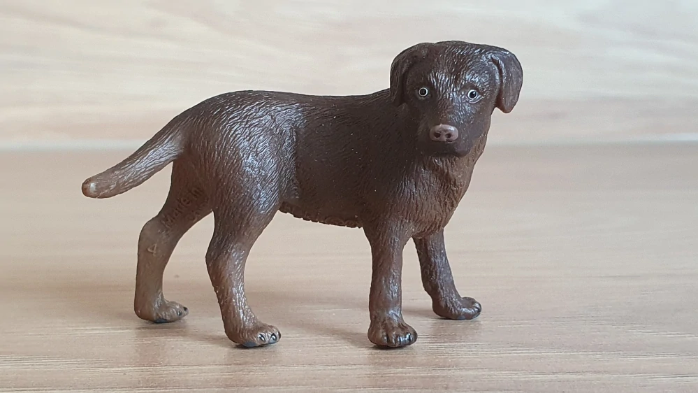 labrador hnědý 16387, model 2009