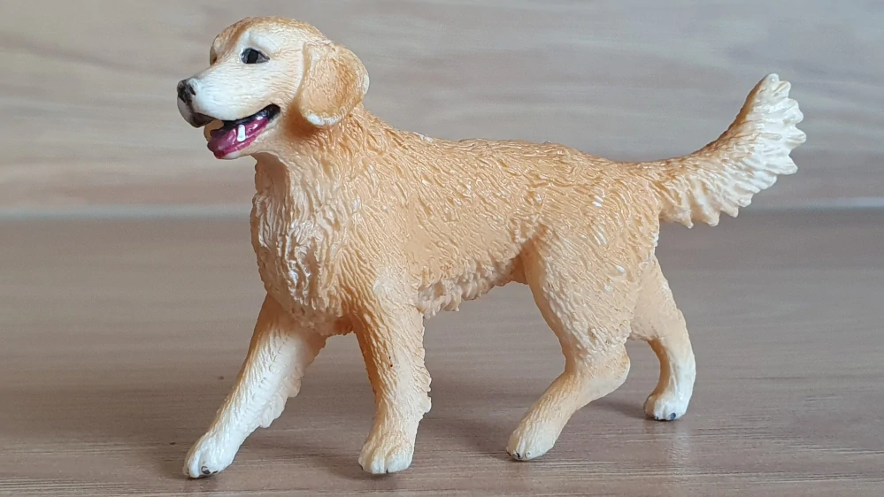 zlatý retrívr fena 16395, model 2013