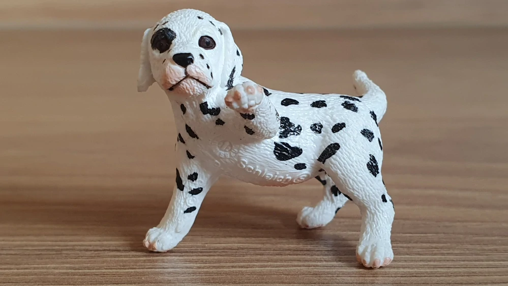 Dalmatin štěně 16839, model 2015