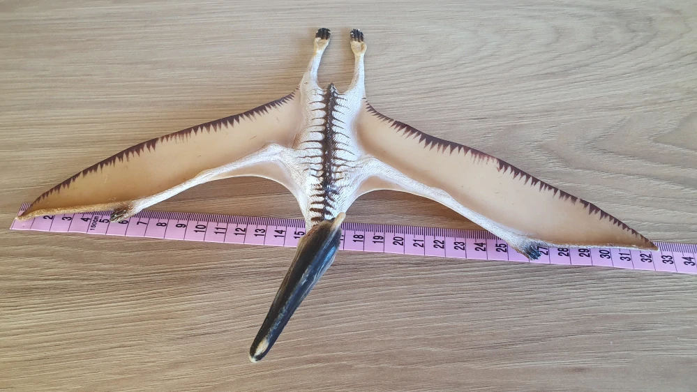Quetzalcoatlus 16463, model 2008