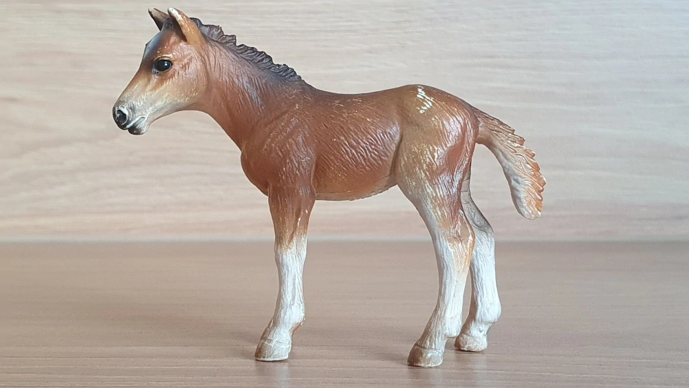 Holštýnské hříbě 13263, model 2001