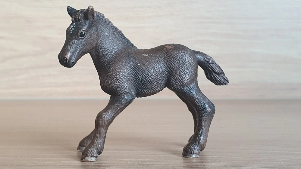 Camargské hříbě 13628, model 2007