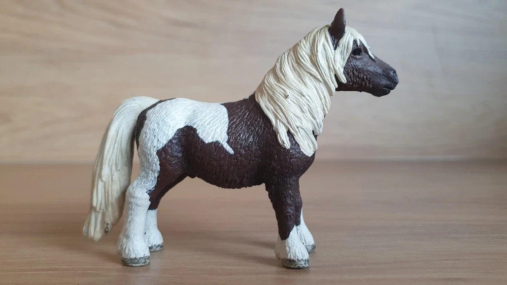 Shetlandský poník valach 13751, model 2009