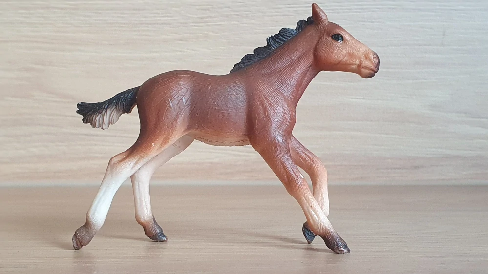 hříbě Mustanga 13807, model 2015