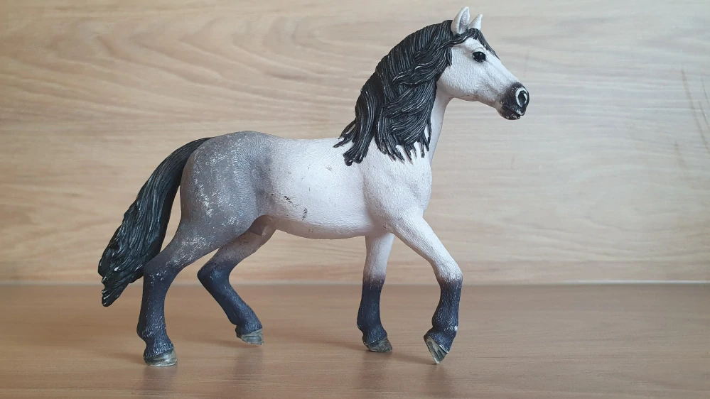 Andaluský hřebec 13821, model 2016
