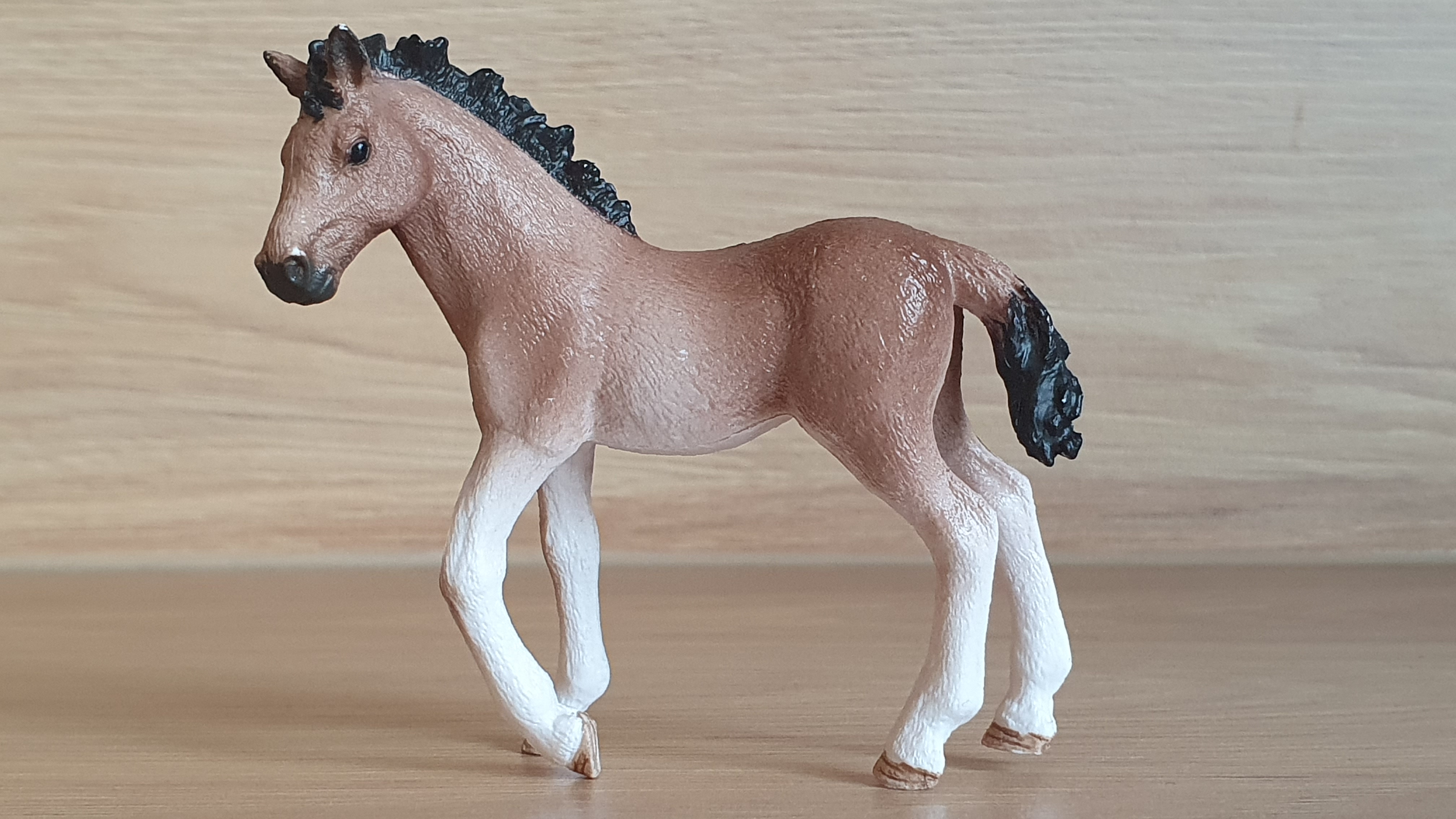 Andaluské hříbě 13822, model 2016