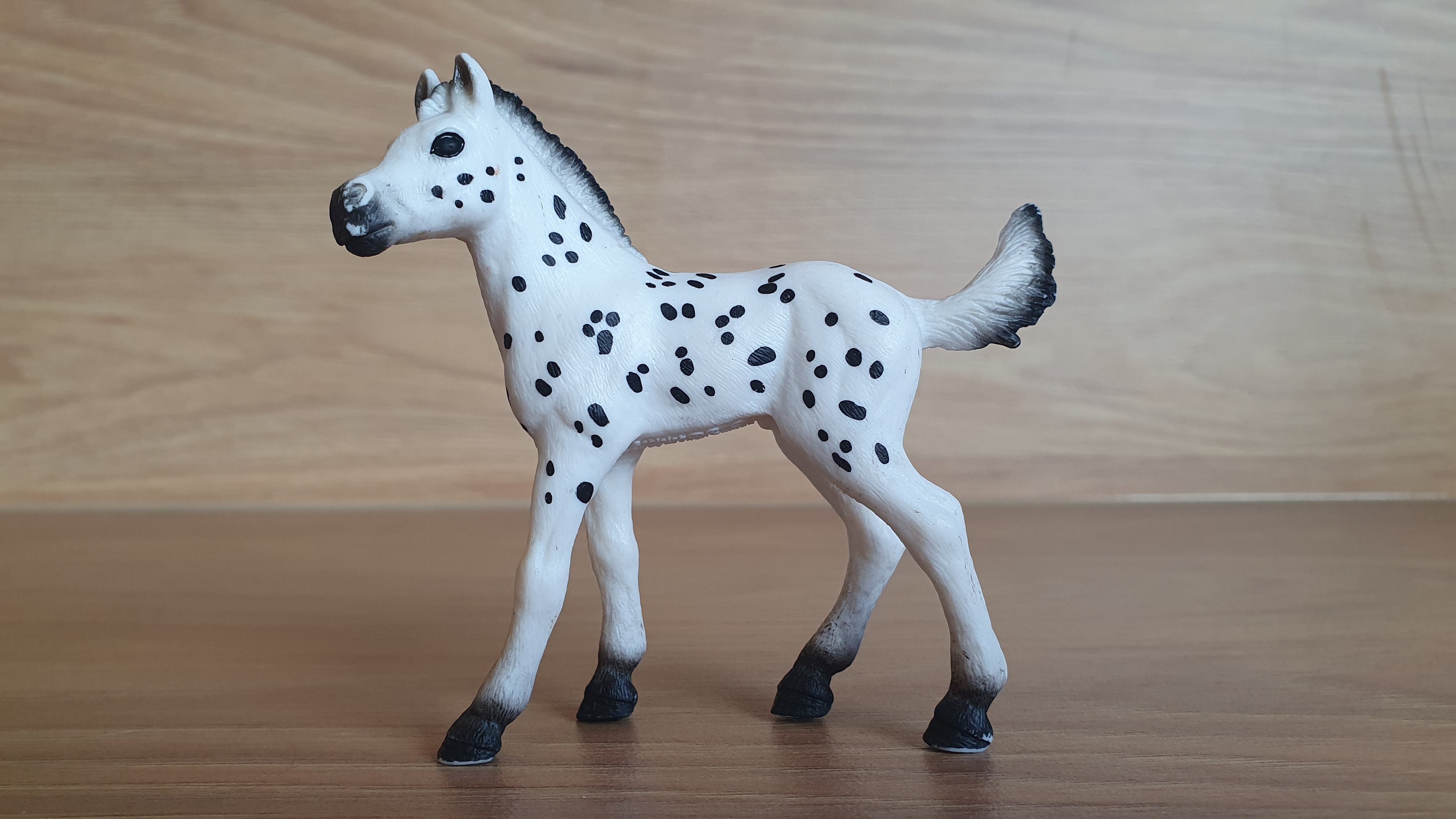 Knabstrupperské hříbě 13890, model 2018