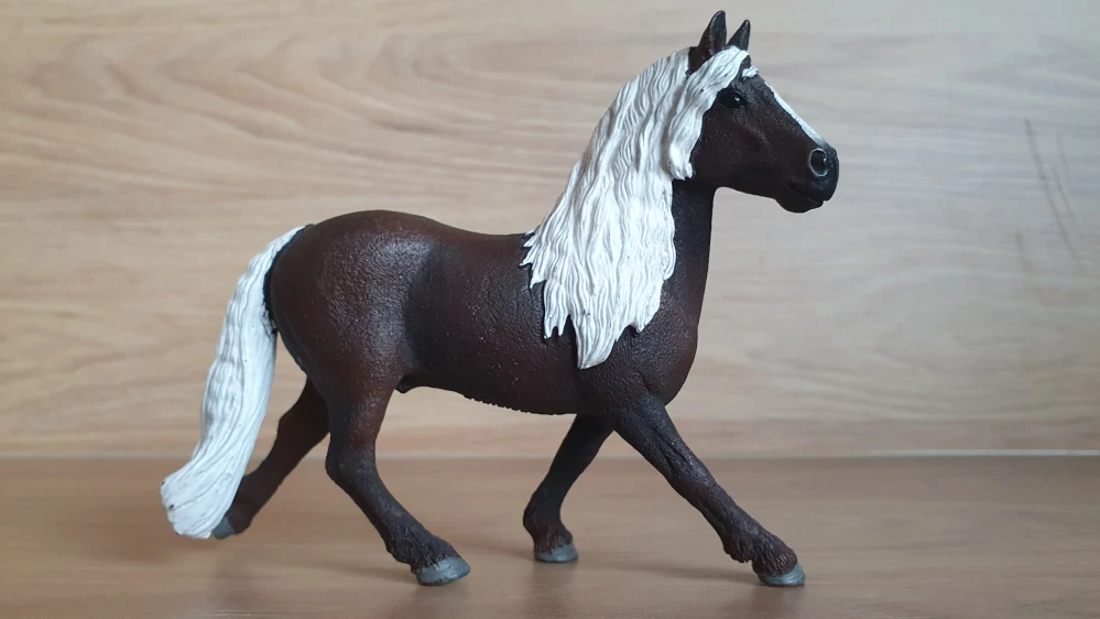 Černý lesní hřebec 13897, model 2019
