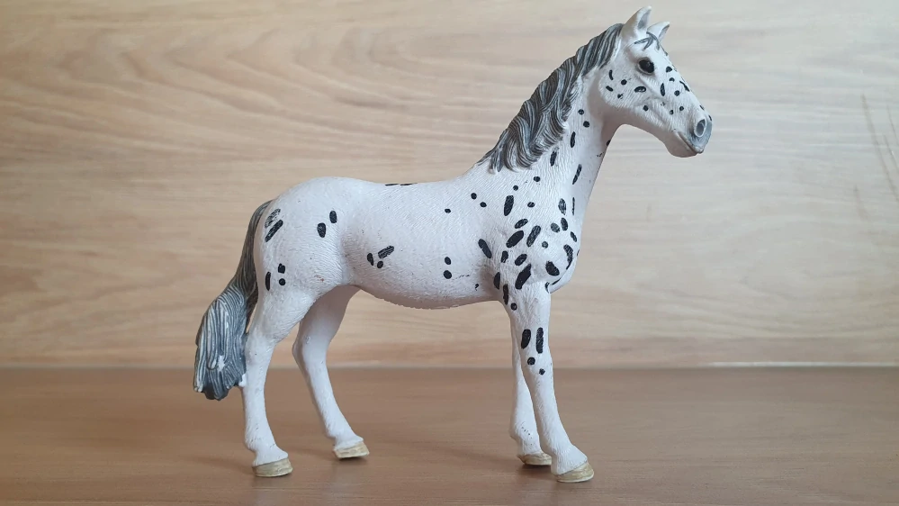 Knabstrupperská klisna 13910, model 2019