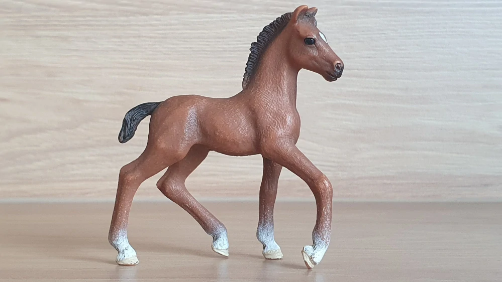 Oldenburské hříbě 13947, model 2021