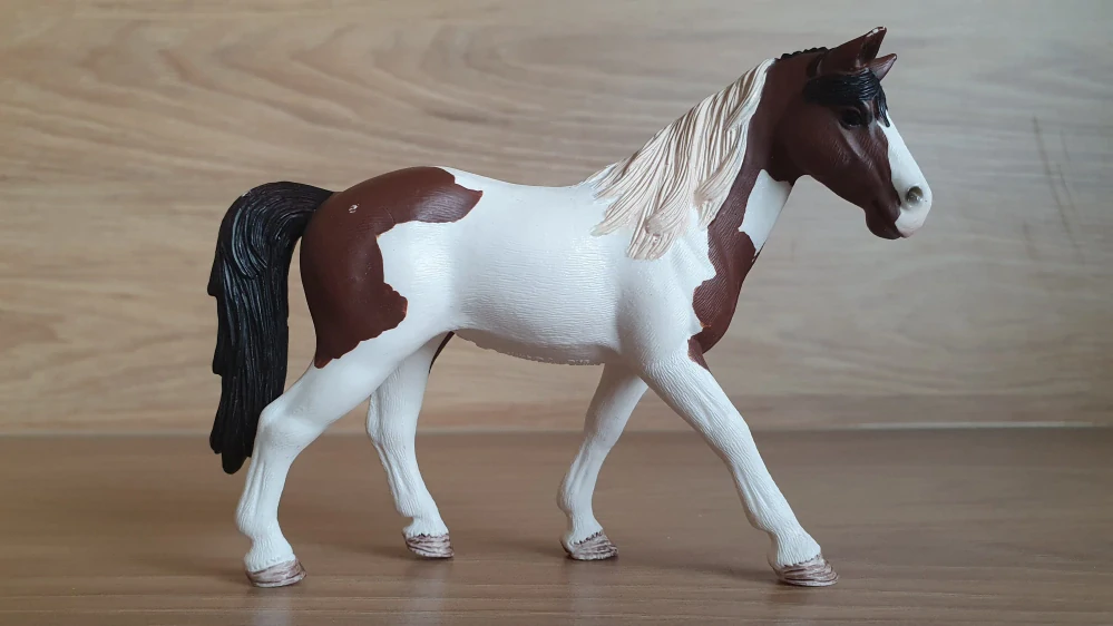 tennessee walker klisna 42441, model 2016
