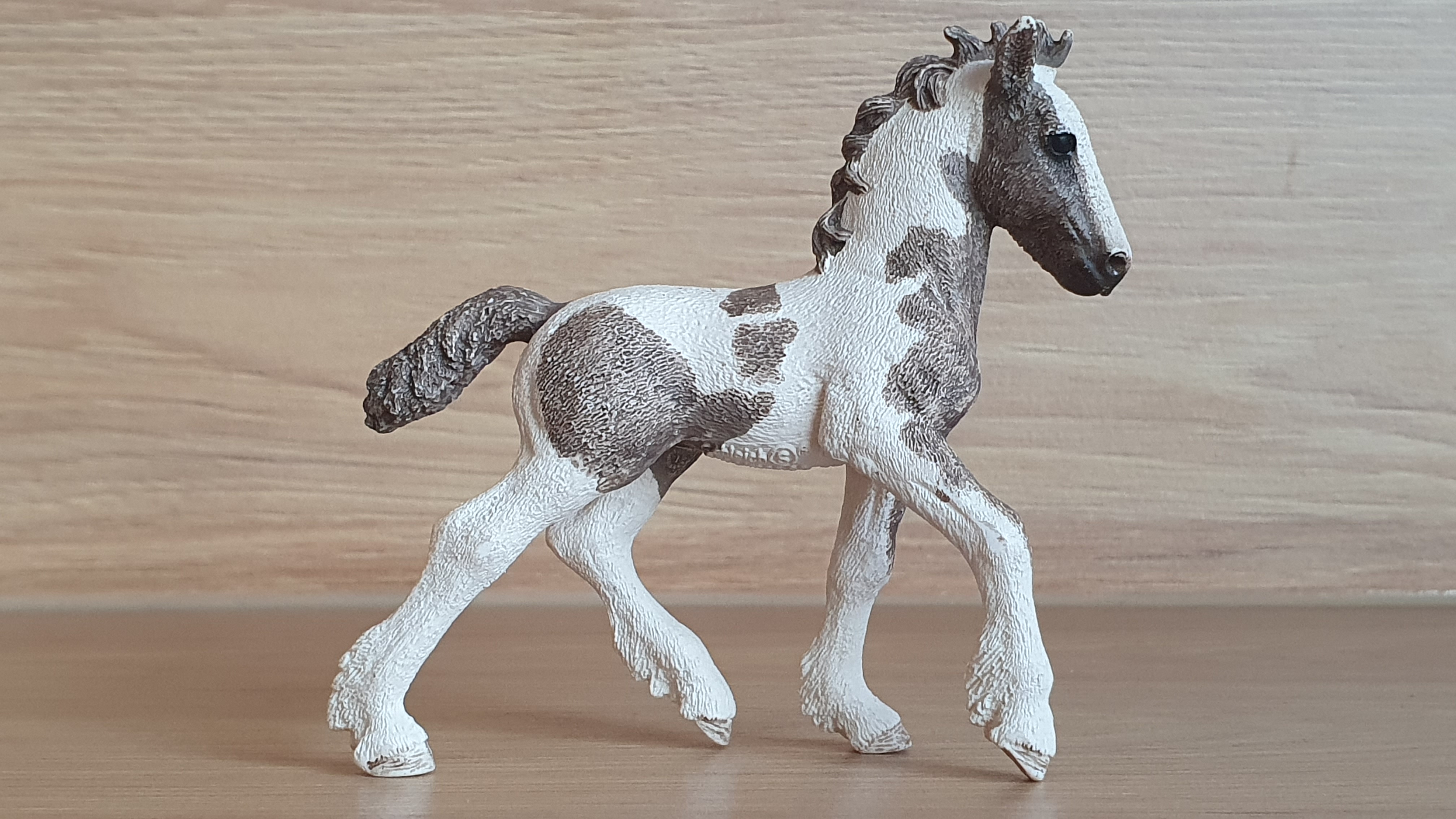 Kůň irský Tinker hříbě 13774, model 2014