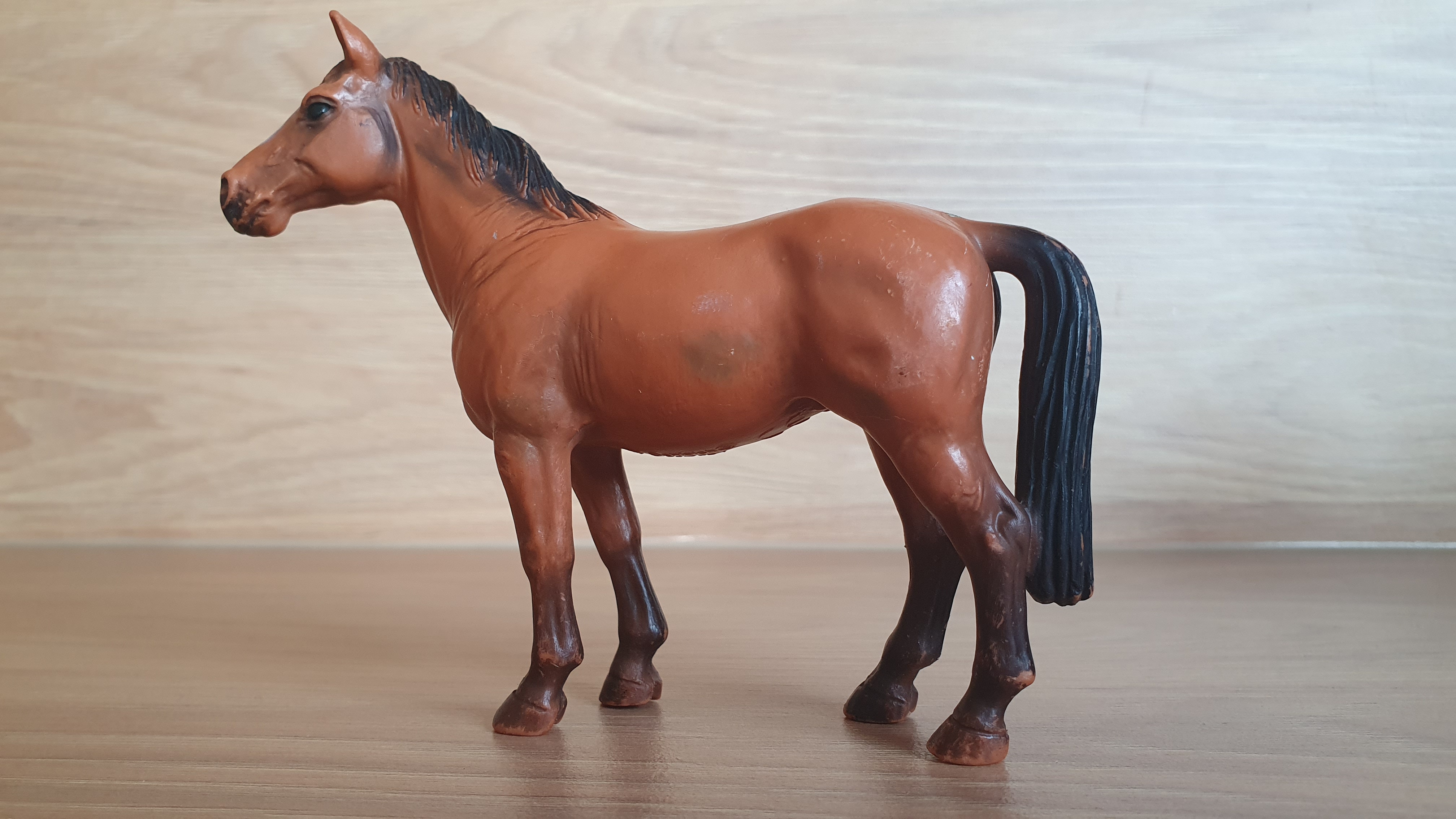 Trakehnerská klisna 13261, model 2001