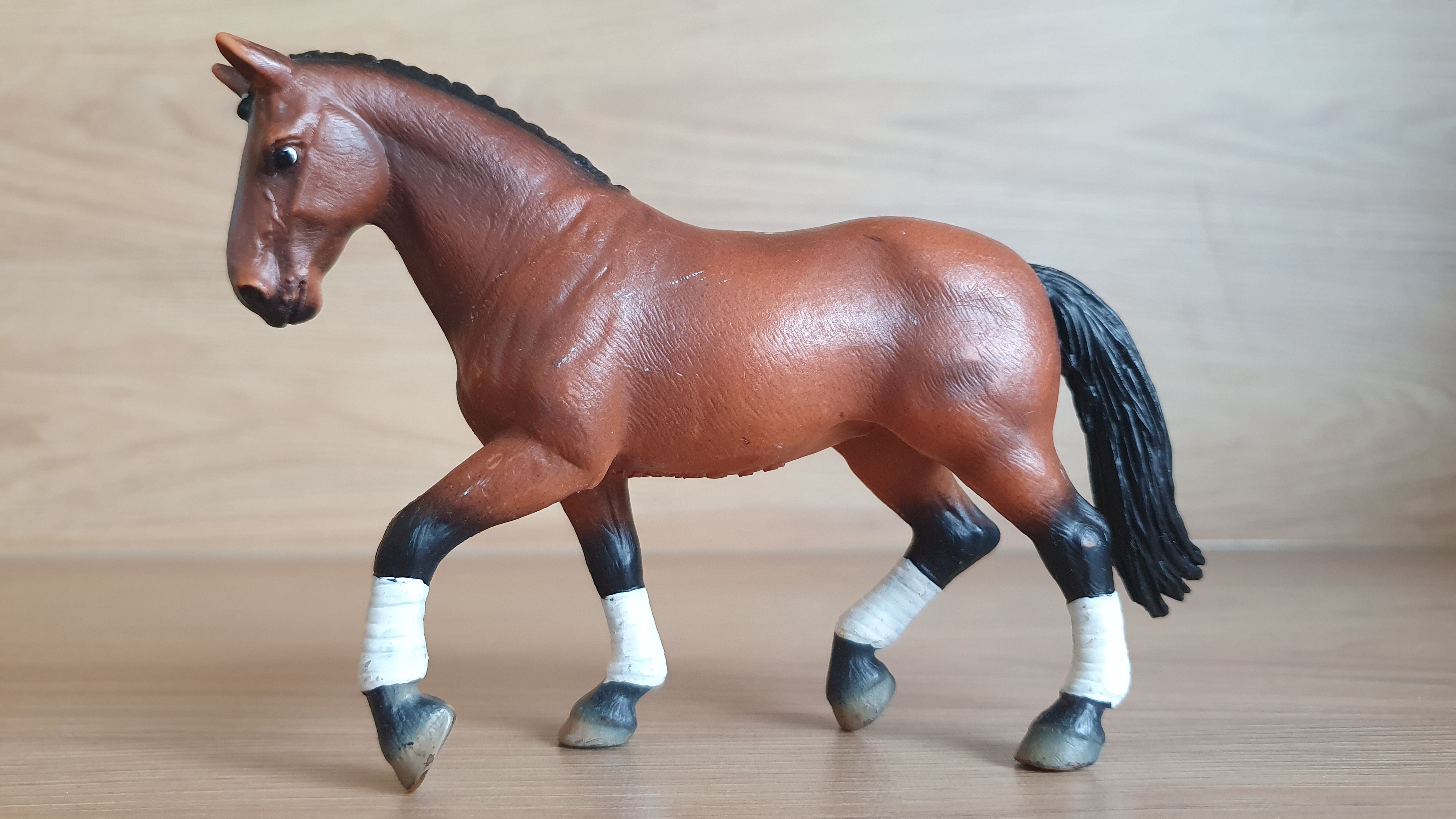 Hanoverská klisna 13296, model 2004