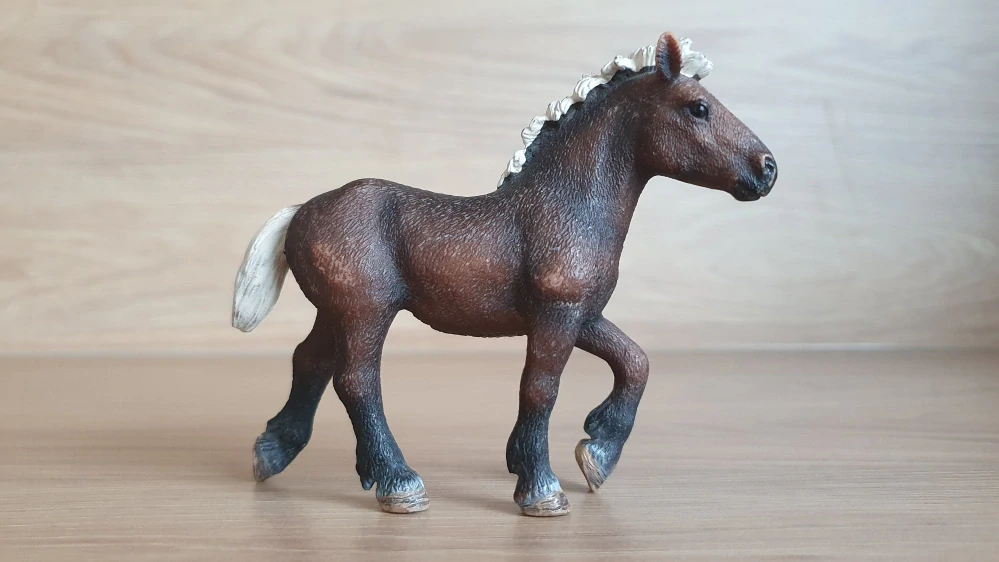 Černý lesní hříbě – roční 13665, model 2009
