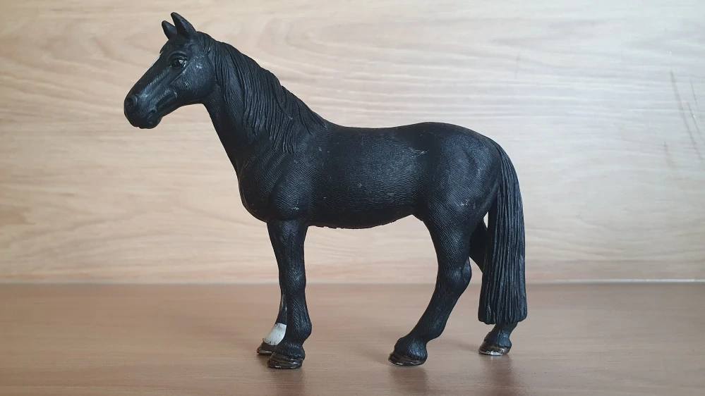 Fríský hřebec 13242, model 1998