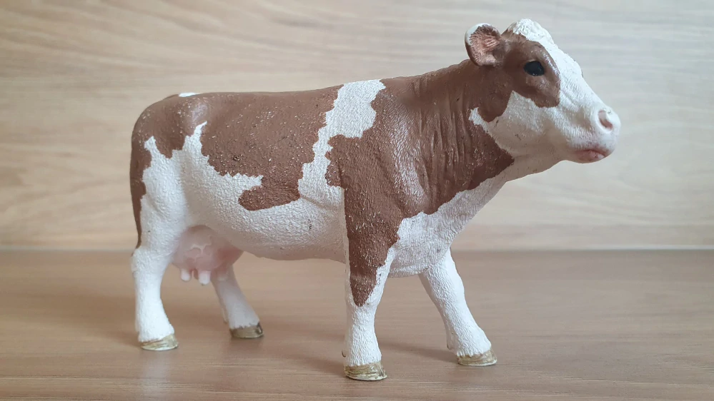 kráva Simmentálská 13801, model 2015