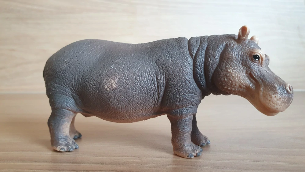hroch 14814, model 2017