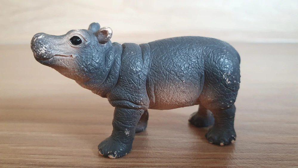 hroch mládě 14831, model 2019