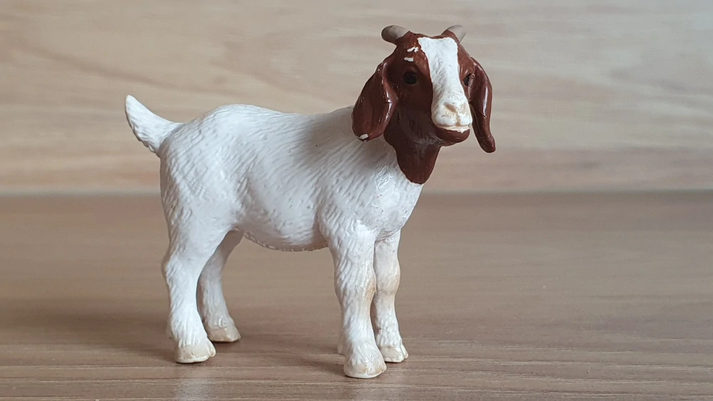 kůzle burské 13260, model 2001