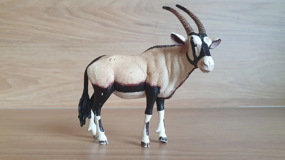 antilopa Oryx 14759, model 2015