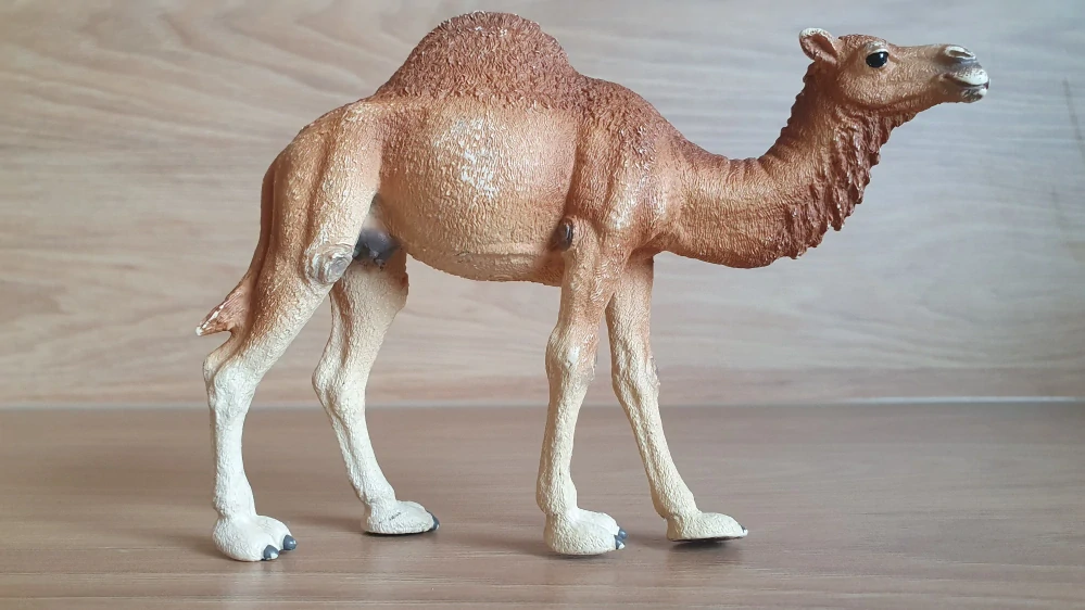 velbloud jednohrbý 14832, model 2019