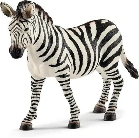 zebra 17094, model 2017, nové