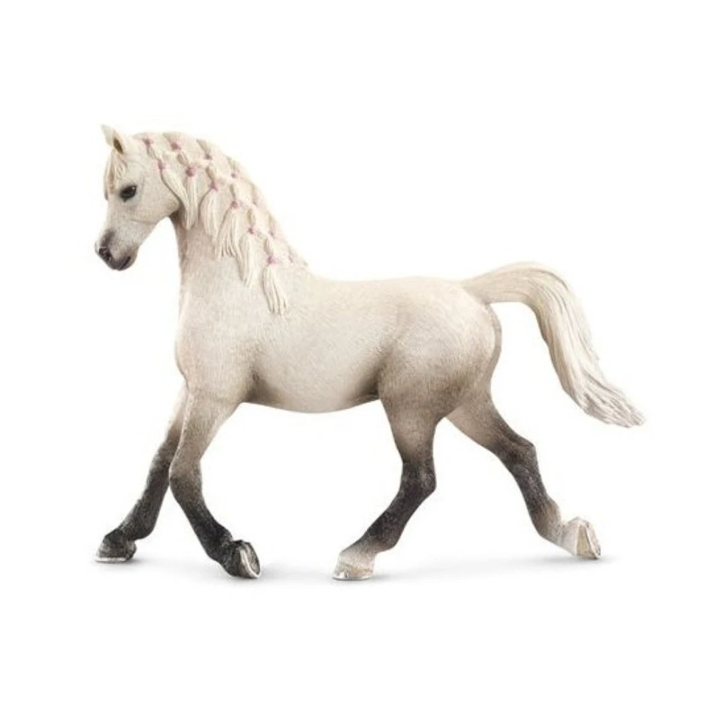 Bílá arabská klisna 13761, model 2013