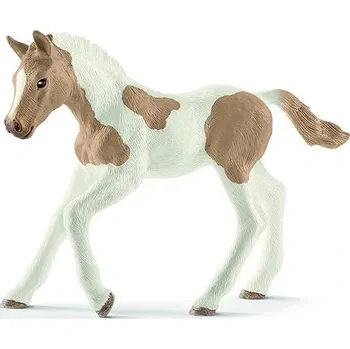 Paint hříbě 13886, model 2018, nové