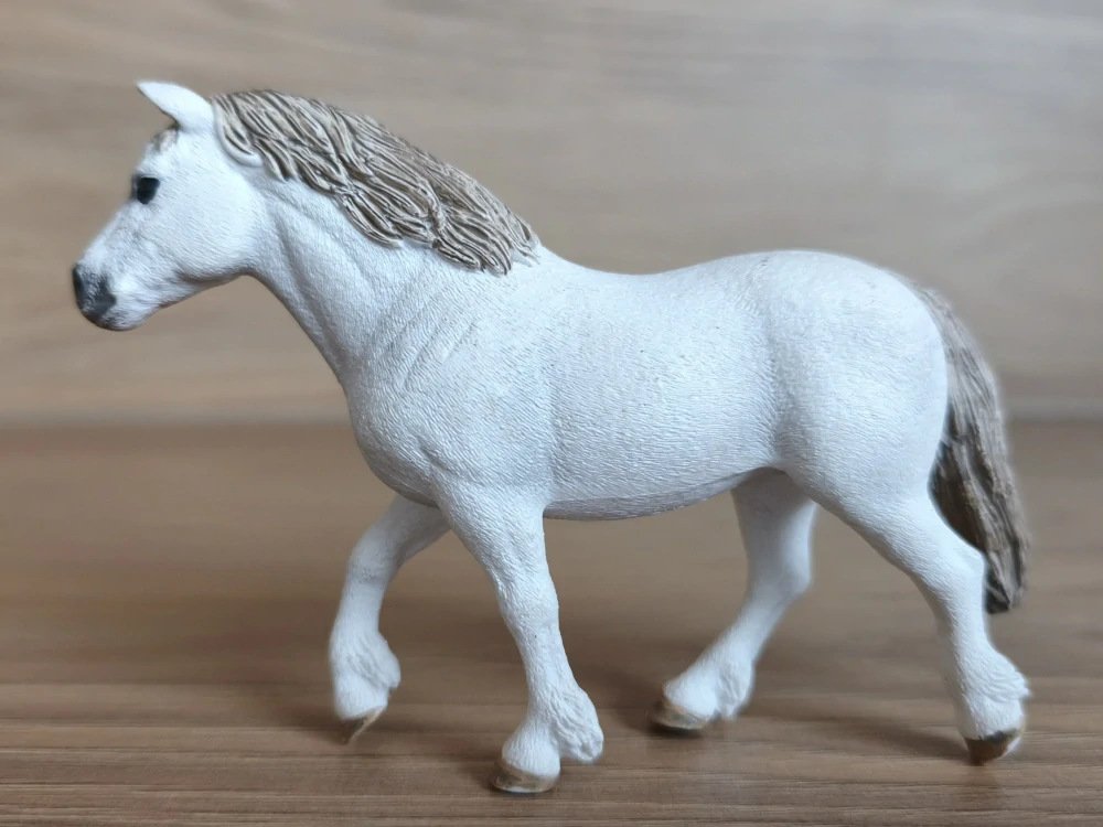 Poník Welsh 13872, model 2017