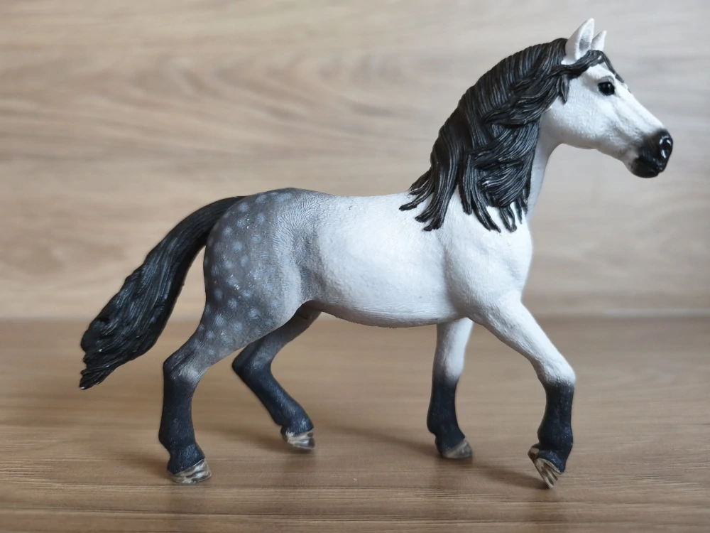 Andaluský hřebec 13821, model 2016