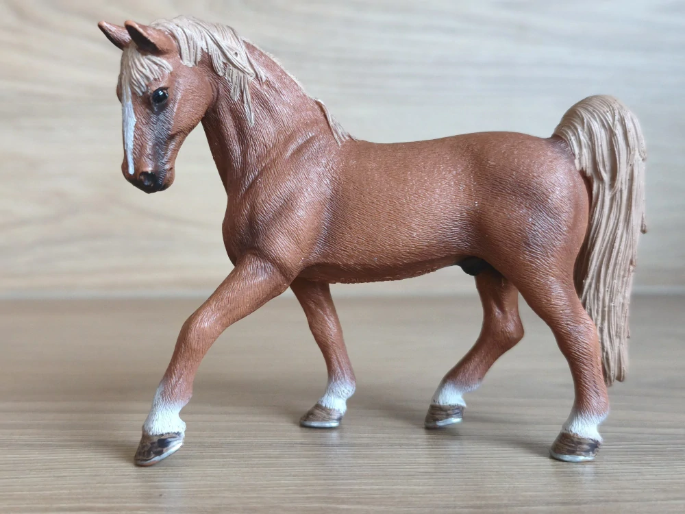 Hřebec Tennesseee 13631, model 2007