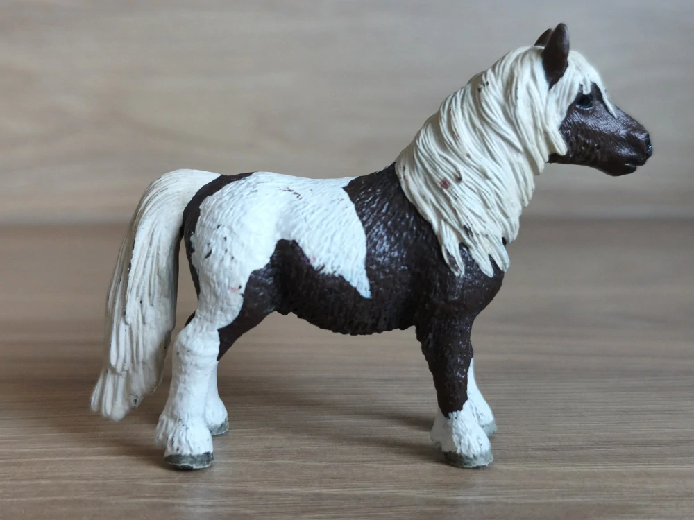 Shetlandský poník valach 13751, model 2009