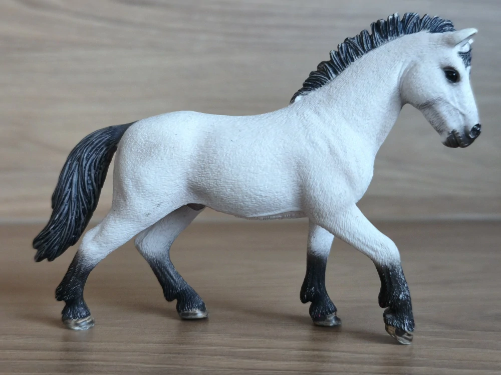 Kamarský hřebec 13710, model 2011