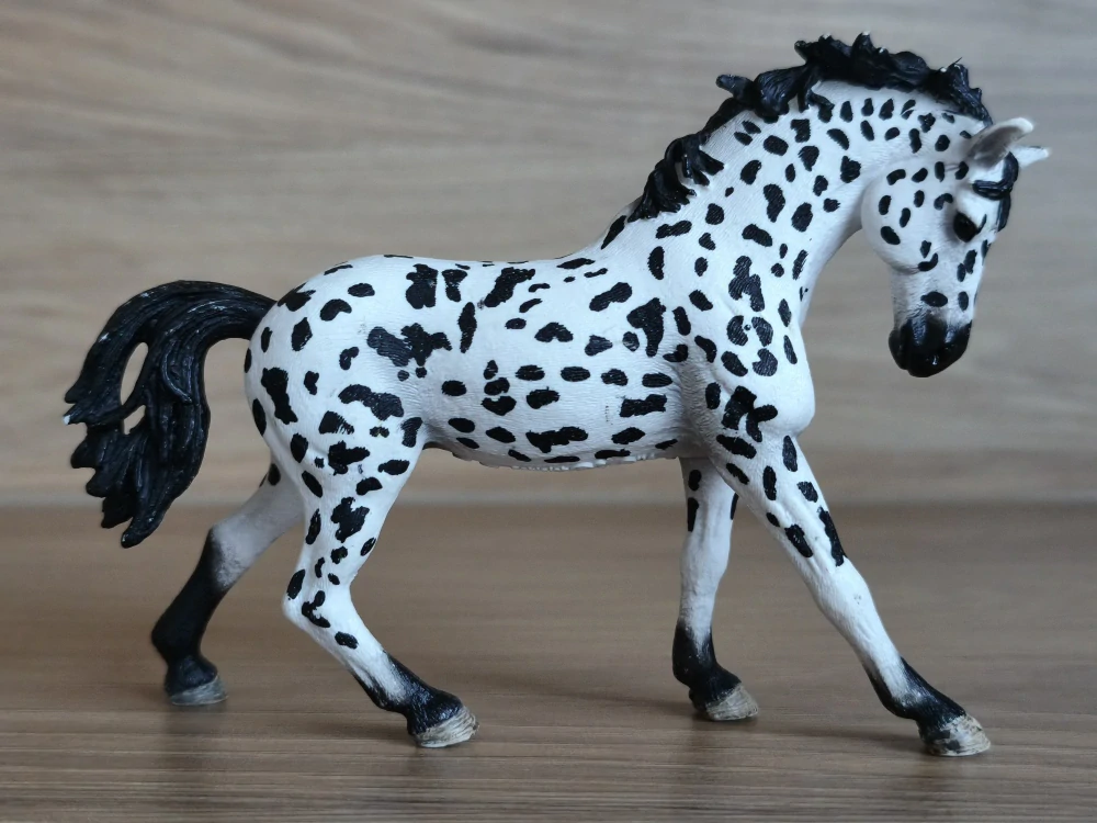 Knabstrupperská klisna 13769, model 2014