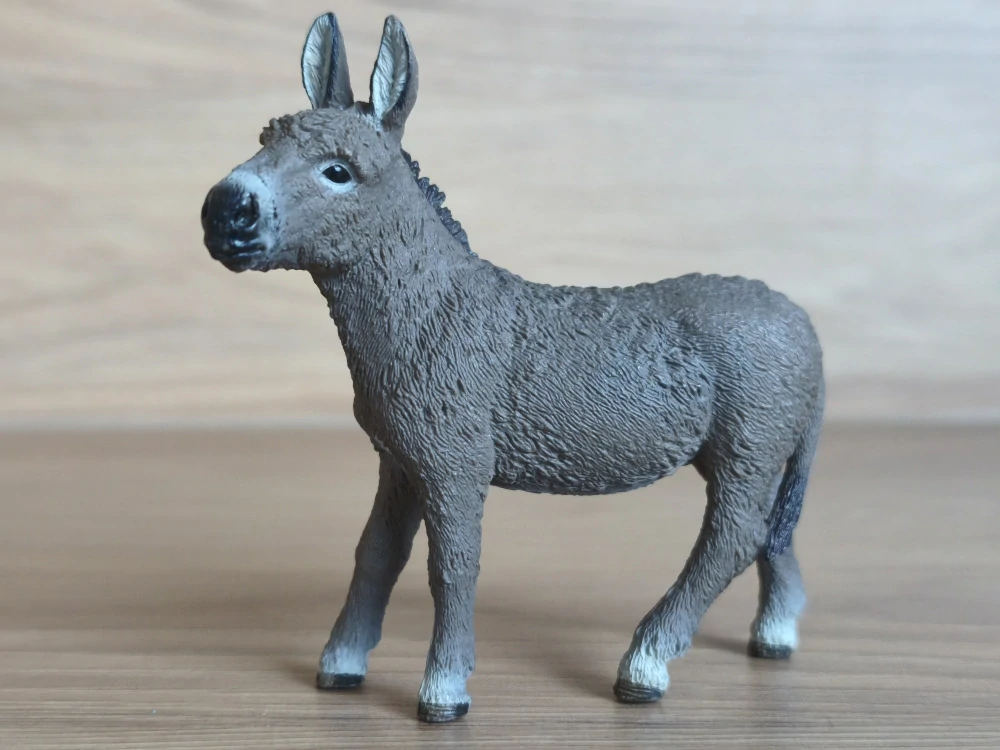 osel 13772, model 2014