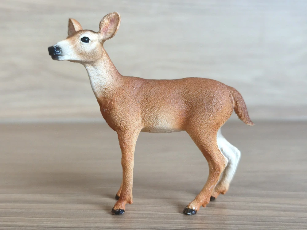 Laň jelence 14819, model 2018