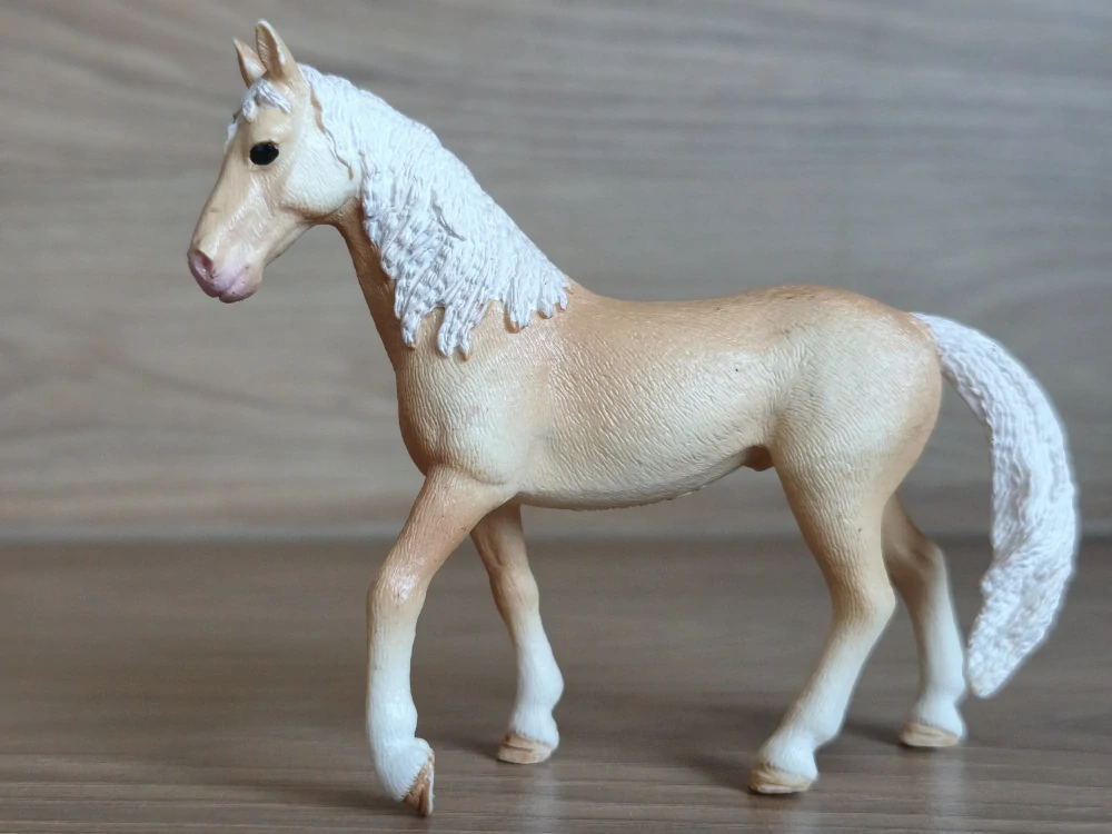 Achaltekinský kůň 13911, model 2019